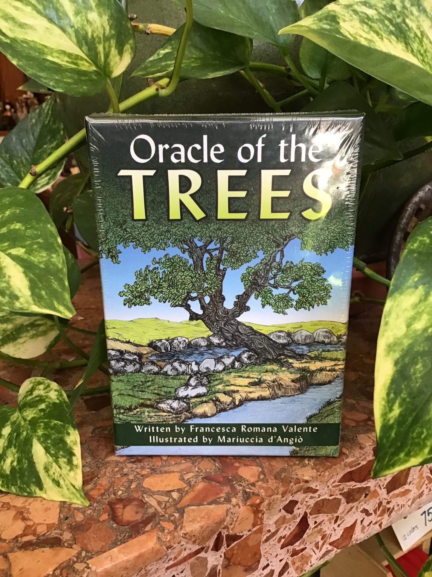 Oracle of the Trees