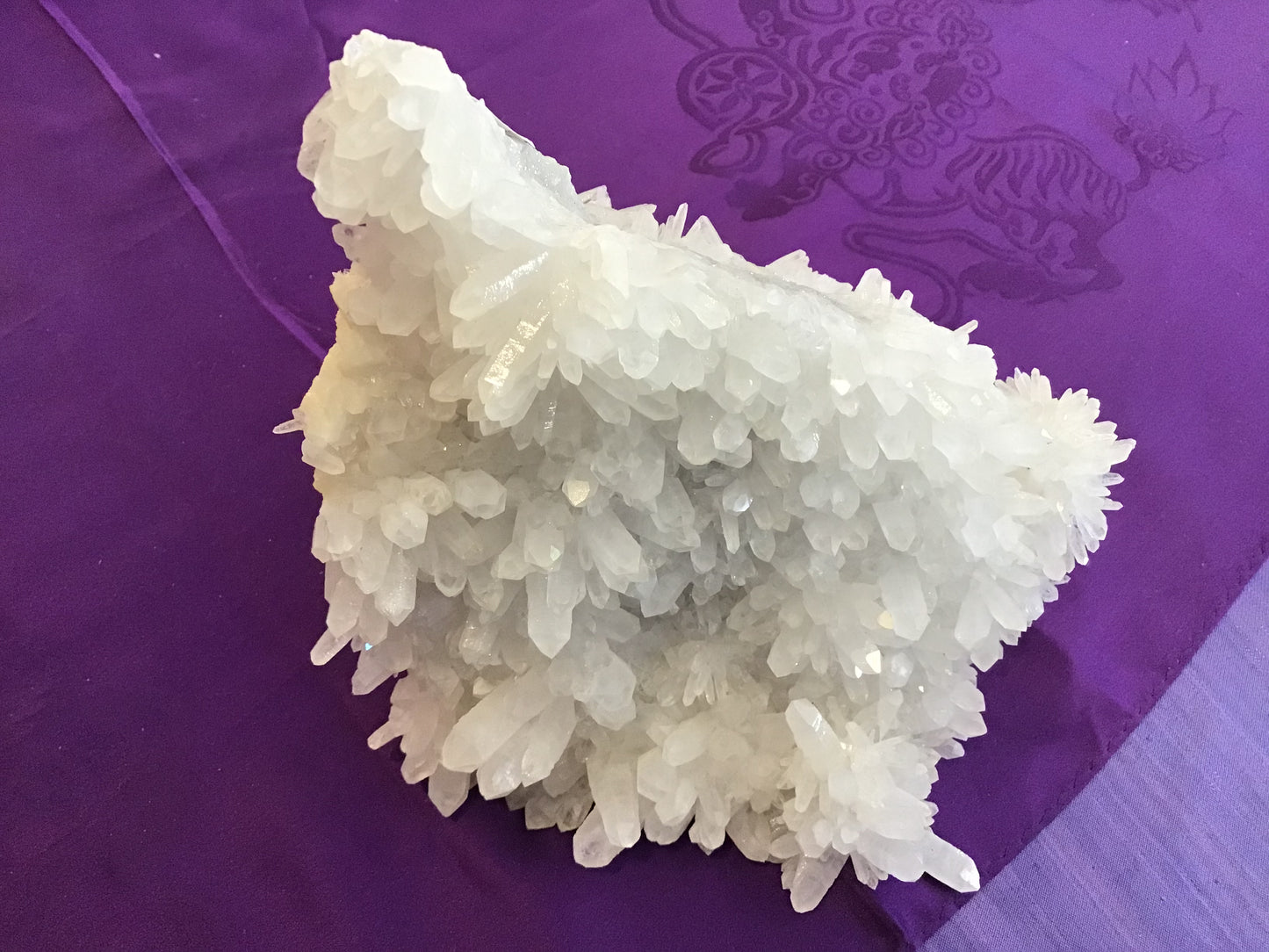 Snowflake Quartz