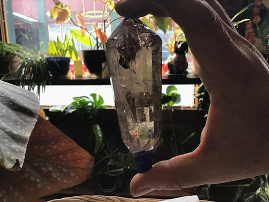 Vogel Smoky Quartz