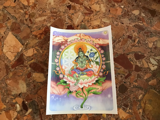 Arya Tara at Lake Siskiyou Sticker