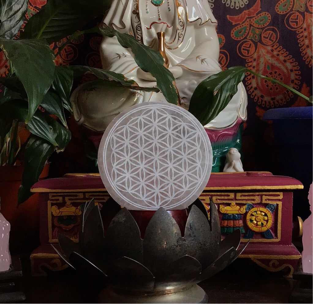 Flower of Life Selenite 4 - inch Moroccan Plate