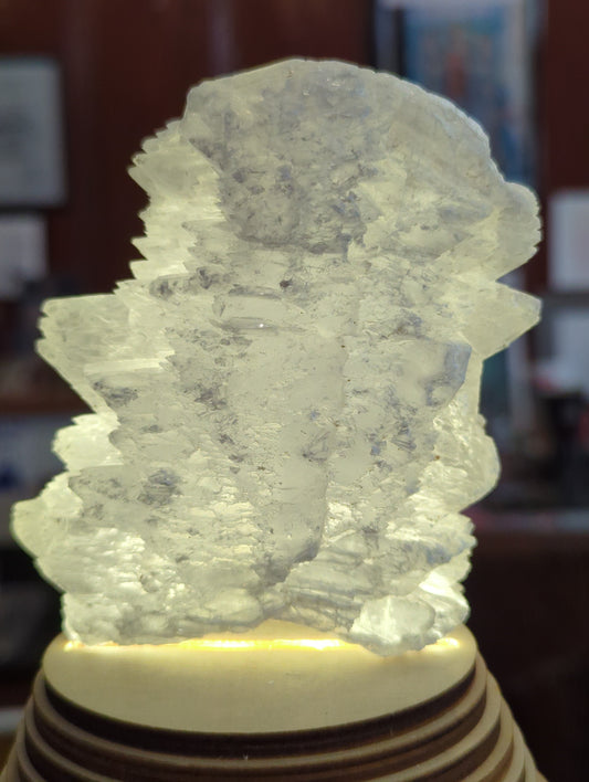 Fishtail Selenite C